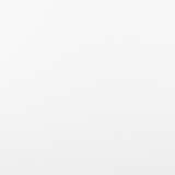 White Paint Standard